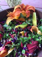 Wild edibles salad in July