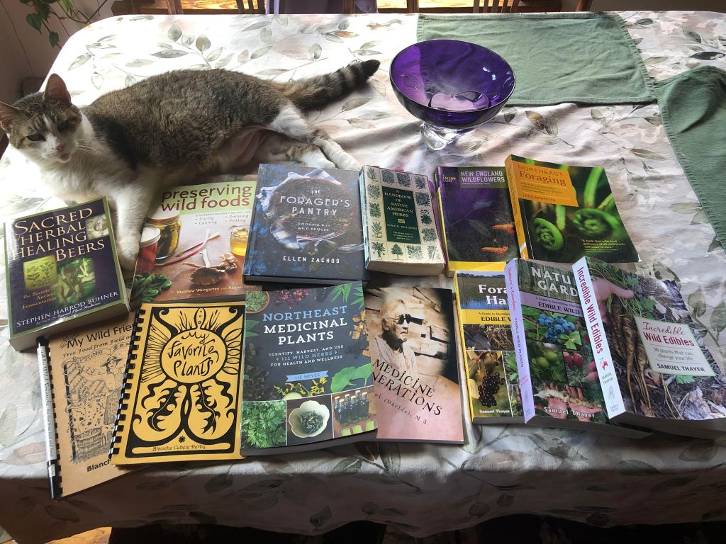 Arianna cat Madeline with an array of wild edible resources. 